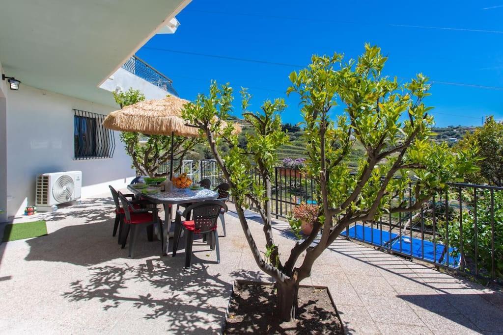 Echapee Belle - Vinayard View - Jacuzzi Bbq - Parking Appartement Nice Buitenkant foto